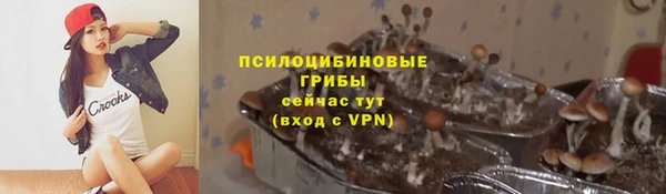 мдпв Заволжье