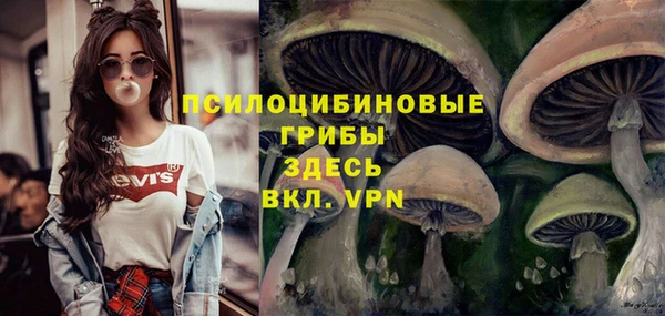 Альфа ПВП Заволжск