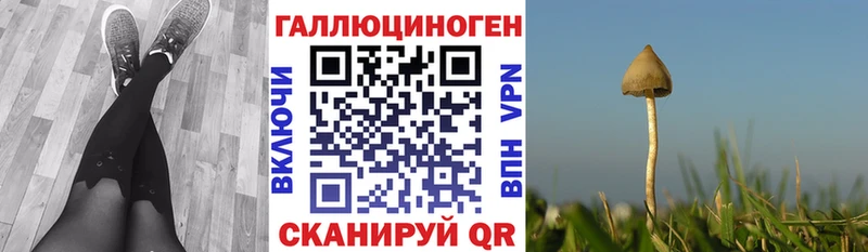 Галлюциногенные грибы GOLDEN TEACHER  цены   Звенигово 