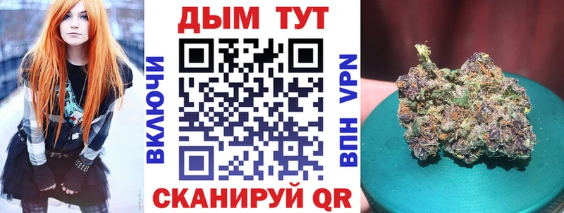 купить закладку  shop как зайти  МАРИХУАНА сатива  Звенигово 